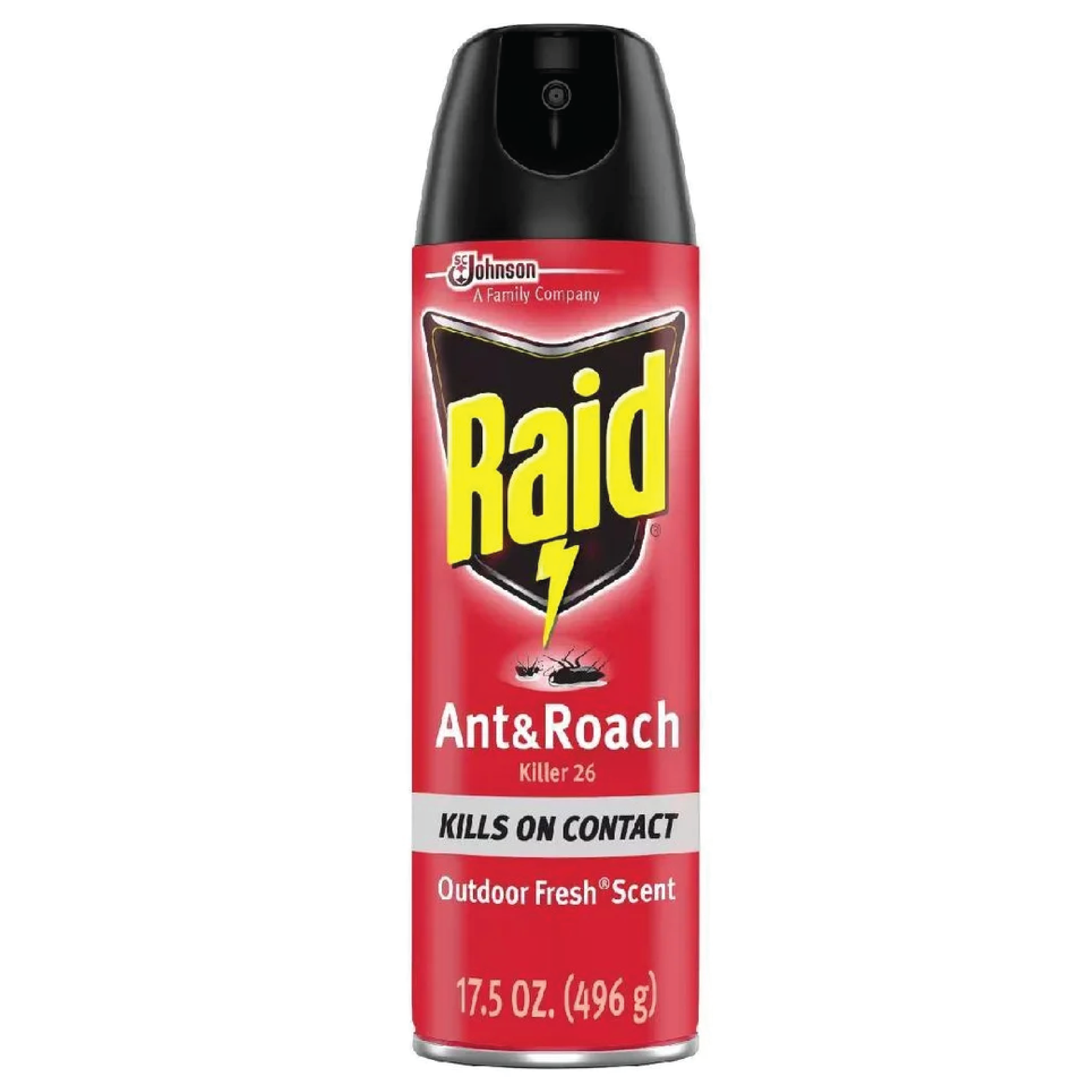 Raid Outdoor Fresh Ant & Roach Killer Spray 17.5oz