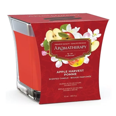 Air Fusion Aromatherapy Apple Harvest Candle 10oz