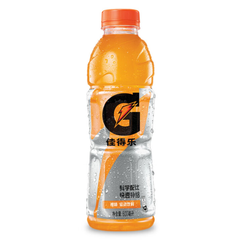 Gatorade Orange Flavor 600ml (China)