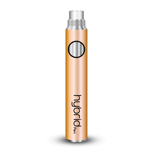 Hybrid Rose Gold Dual Charger Port Battery 350mAH