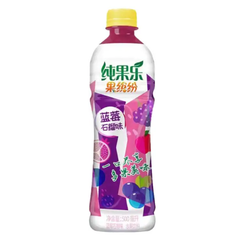 Tropicana Blueberry & Pomegranate Flavor Juice 450ml (China)