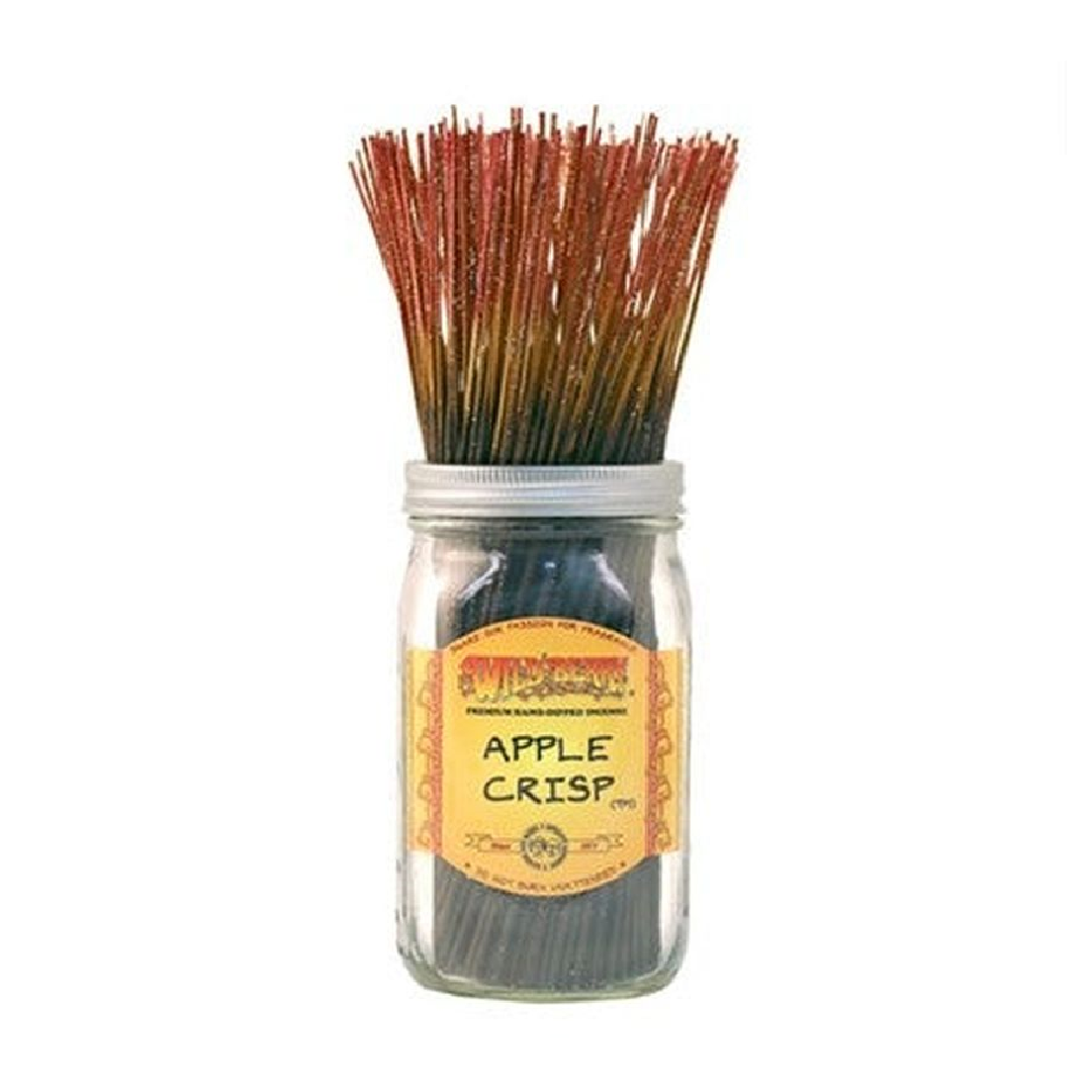 Wild Berry Apple Crisp Incense Sticks 10 Count